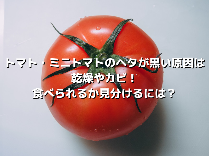 トマト ミニトマトのヘタが黒い原因は乾燥やカビ 食べられるか見分けるには 毎日お役立ち情報ステーション